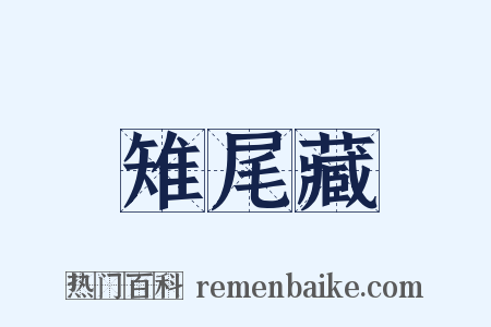雉尾藏是什么意思的图片